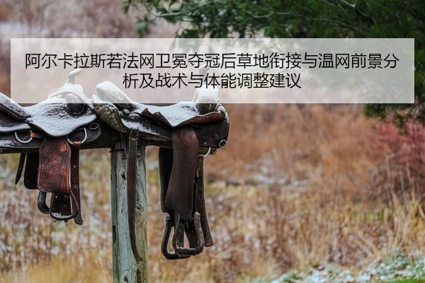阿尔卡拉斯若法网卫冕夺冠后草地衔接与温网前景分析及战术与体能调整建议